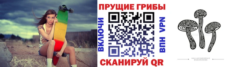 OMG ONION  Новый Оскол  Псилоцибиновые грибы Psilocybe 